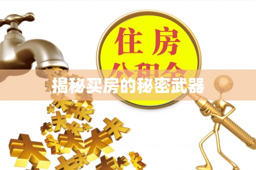 布尔津揭秘买房的秘密武器