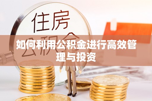 布尔津如何利用公积金进行高效管理与投资