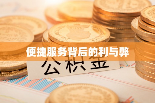 布尔津便捷服务背后的利与弊